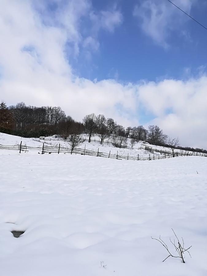 Vila Margareta Curtea de Argeş Zewnętrze zdjęcie