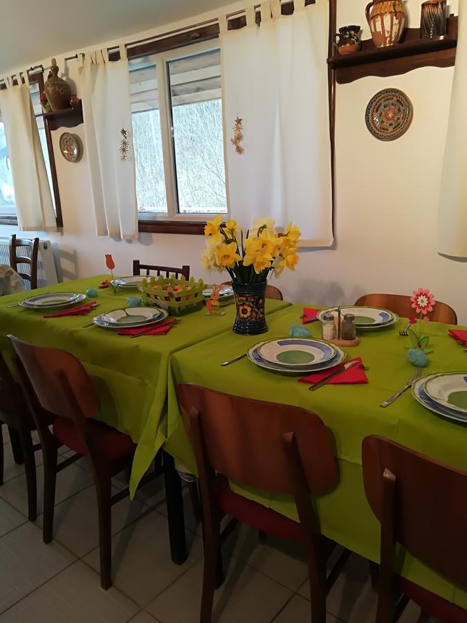 Vila Margareta Curtea de Argeş Zewnętrze zdjęcie