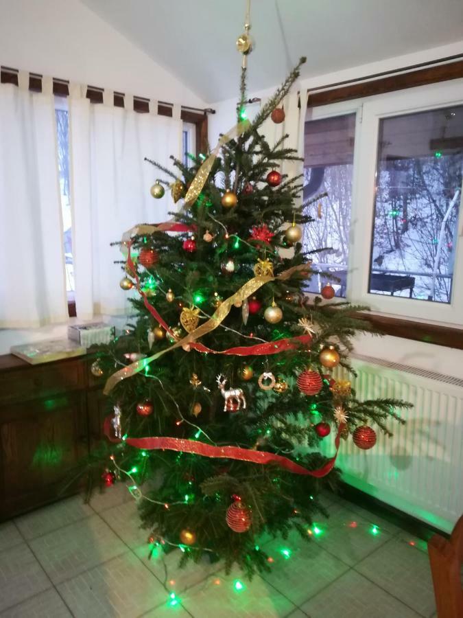 Vila Margareta Curtea de Argeş Zewnętrze zdjęcie