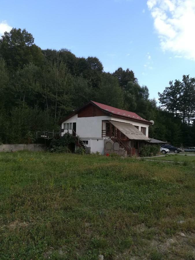 Vila Margareta Curtea de Argeş Zewnętrze zdjęcie