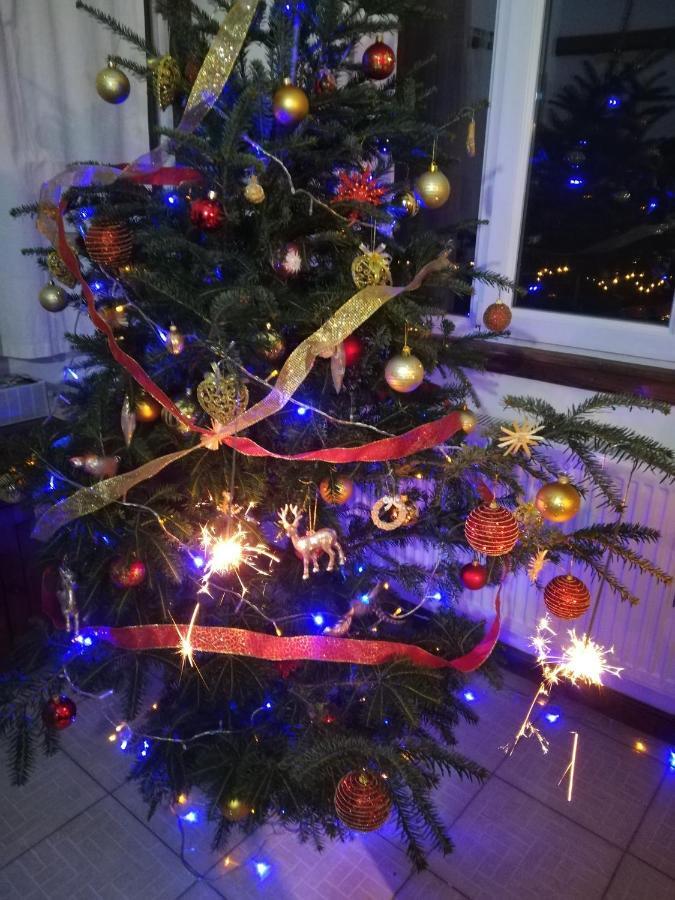 Vila Margareta Curtea de Argeş Zewnętrze zdjęcie